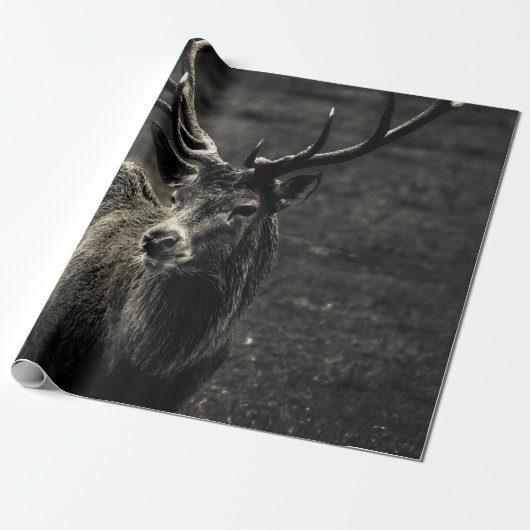 DEER 12 POINT BUCK ラッピングペーパー (アンロールド)