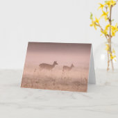 Deer at Dawn カード (黄色い花)