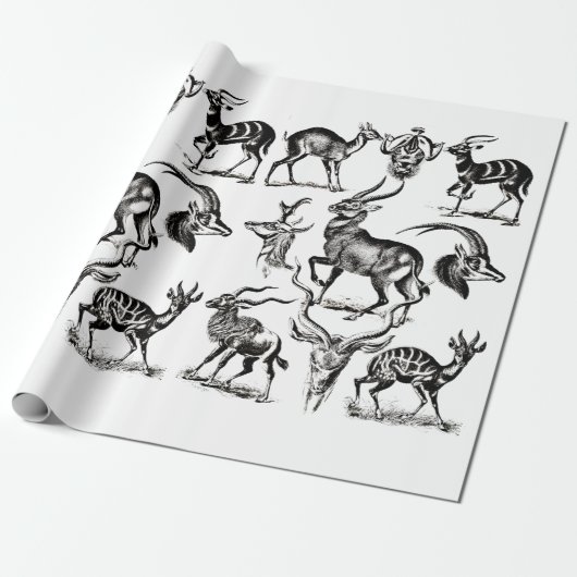 Deer Buck Antelope Animals wildlife Illustrations ラッピングペーパー (アンロールド)