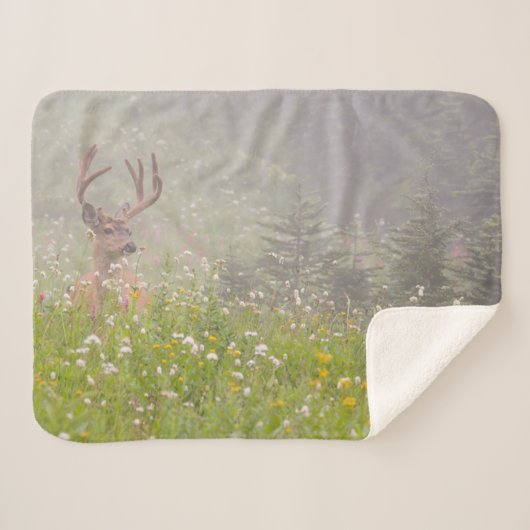 Deer Buck | Mount Rainier National Park シェルパブランケット (正面(横))