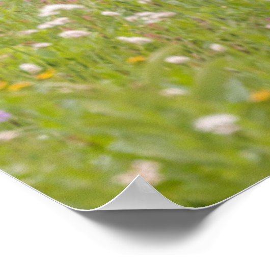 Deer Buck | Mount Rainier National Park ポスター (角)