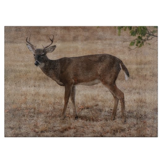 Deer Buck Wild Art Glass Cutting Board カッティングボード (正面)