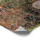 Deer by Bushフォトポスター ポスター (角)