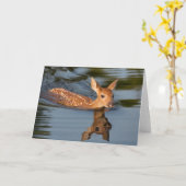 Deer Fawn | Minnesota カード (黄色い花)