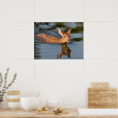 Deer Fawn | Minnesota ポスター (キッチン)