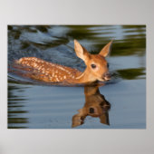 Deer Fawn | Minnesota ポスター (正面)