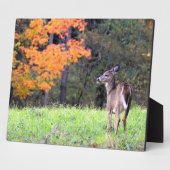 Deer in an Autumn Field フォトプラーク (側面)