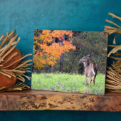 Deer in an Autumn Field フォトプラーク (側面)