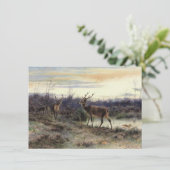 Deer in the Forest at Fontainebleau (Rosa Bonheur) カード (スタンド正面)