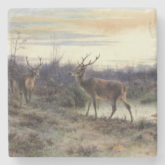 Deer in the Forest at Fontainebleau (Rosa Bonheur) ストーンコースター (正面)