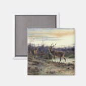 Deer in the Forest at Fontainebleau (Rosa Bonheur) マグネット (正面/裏面)