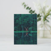 Deer in the Forest Postcard ポストカード (スタンド正面)