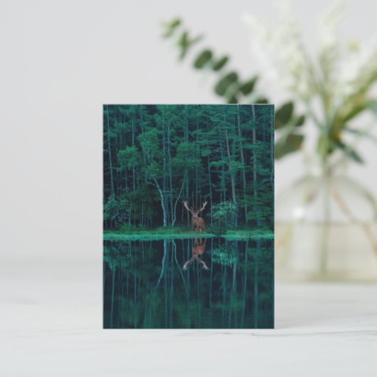 Deer in the Forest Postcard ポストカード (スタンド正面)