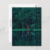 Deer in the Forest Postcard ポストカード (正面/裏面)
