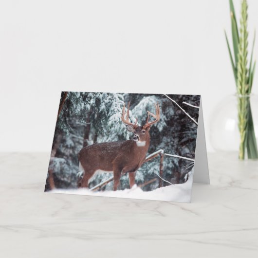 Deer in the Snow Greeting Card カード (正面)