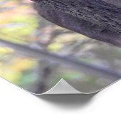 Deer In the Woods  ポスター (角)