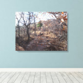 Deer in the Woods Canvas Print キャンバスプリント (インサイチュ (ウッドフロア))