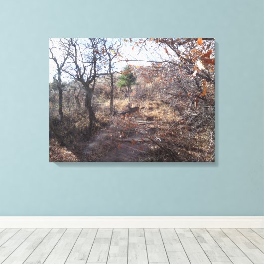 Deer in the Woods Canvas Print キャンバスプリント (インサイチュ (ウッドフロア))