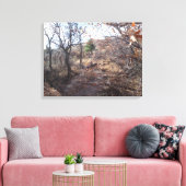 Deer in the Woods Canvas Print キャンバスプリント (インサイチュ (リビング))