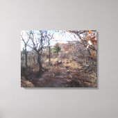 Deer in the Woods Canvas Print キャンバスプリント (正面)