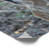 Deer in Woods – フレームを選択 ポスター (角)