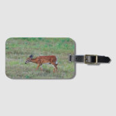 Deer Luggage Tag ラゲッジタグ (正面横)