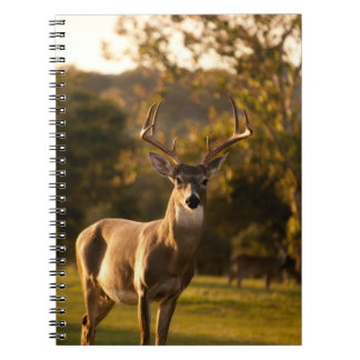 Deer Notebook/Journal ノートブック