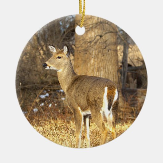 Deer Photo Ornament  セラミックオーナメント (正面)