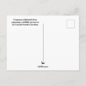 Deer Postcard ポストカード (裏面)