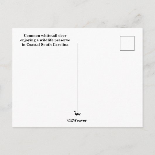 Deer Postcard ポストカード (裏面)
