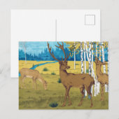 Deer w Trees Vintage 1897 Book Postcard ポストカード (正面/裏面)