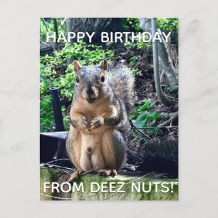 「Deez Nuts」お誕生日おめでとう!ユーモアたっぷりのキリギリスの写真 ポストカード
