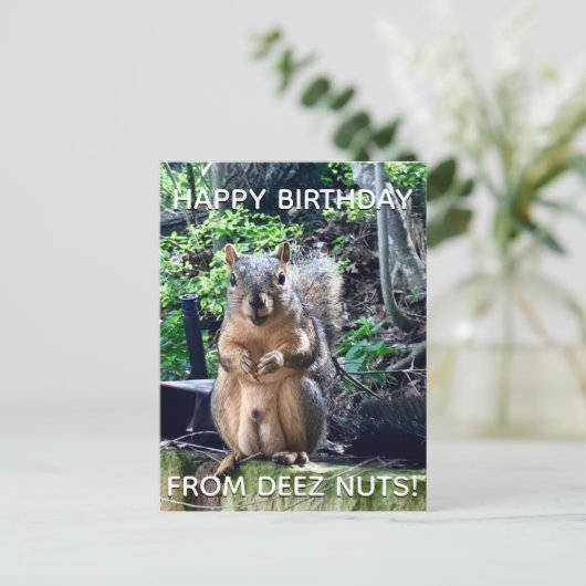 「Deez Nuts」お誕生日おめでとう!ユーモアたっぷりのキリギリスの写真 ポストカード (スタンド正面)