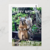 「Deez Nuts」お誕生日おめでとう!ユーモアたっぷりのキリギリスの写真 ポストカード (正面/裏面)