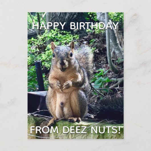 「Deez Nuts」お誕生日おめでとう!ユーモアたっぷりのキリギリスの写真 ポストカード (正面)