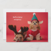 Definitely Naughty Pet Photo Cute Christmas シーズンカード (正面)