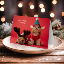 Definitely Naughty Pet Photo Cute Christmas