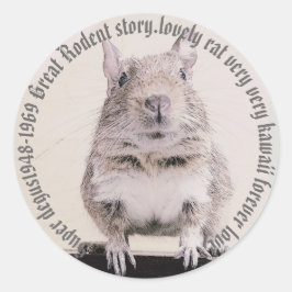 ♛ DEGU ♛ ラウンドシール