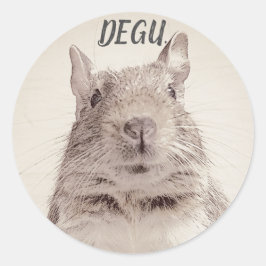 ♧ DEGU ♧ ラウンドシール