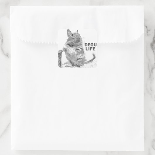 DEGU LIFE スクエアシール (バッグ)