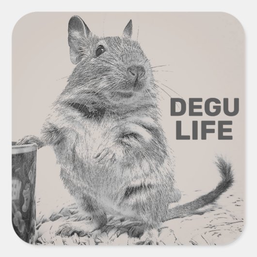 DEGU LIFE スクエアシール (正面)