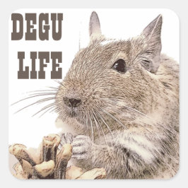 ► DEGU ►   Rodents スクエアシール