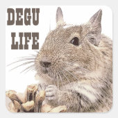 ► DEGU ►   Rodents スクエアシール (正面)
