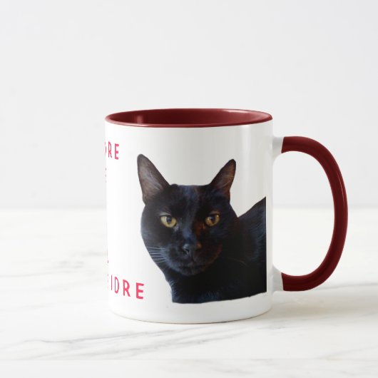 Deidresのマグ マグカップ (右)