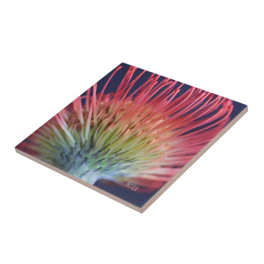 DEKO FLIESE "PROTEA" タイル (側面)