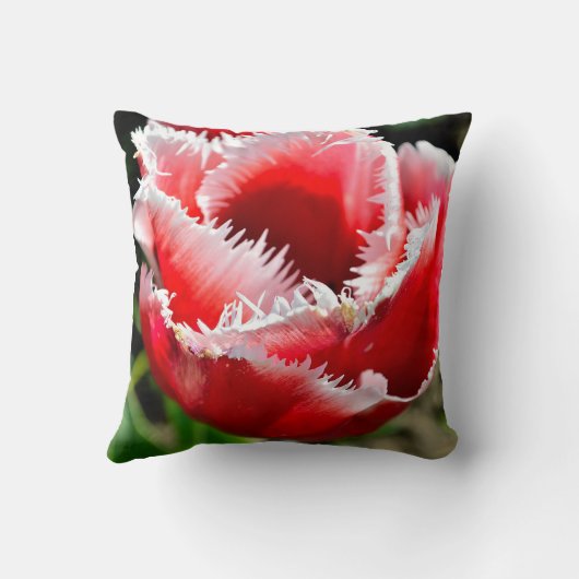 Dekokissen クッション (裏面)