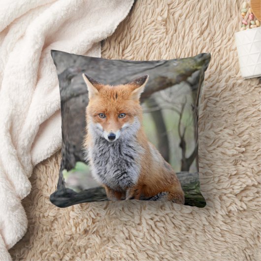 Dekokissen クッション (ブランケット)