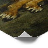 Delacroix - Tilt Lioness 1855 ポスター (角)