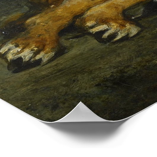 Delacroix - Tilt Lioness 1855 ポスター (角)