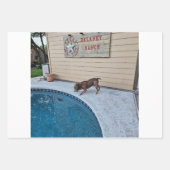 Delaney Ranch Wrapping Paper Flat Sheet Set of 3 ラッピングペーパーシート (正面2)